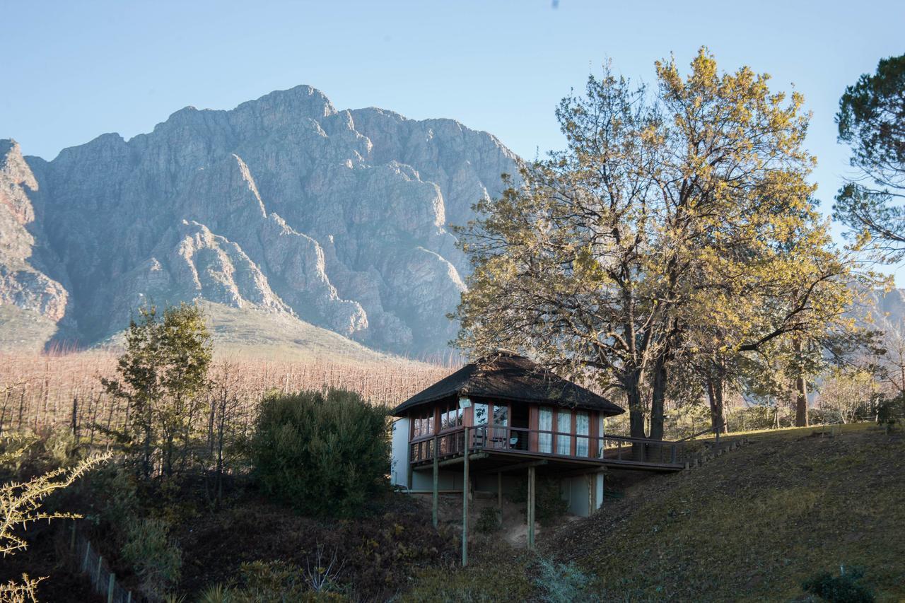 Tulbagh Mountain Manor Konuk evi Cape Town Dış mekan fotoğraf